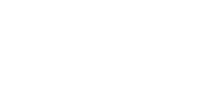 Stone Co